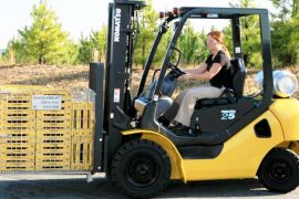 stivuitor-timisoara3